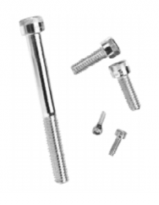 Stainless Steel Screws for Tampa, Florida