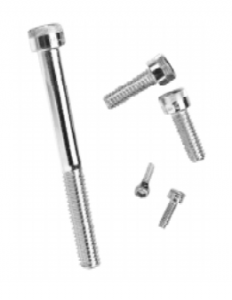 Stainless Steel Screws for Canton, Massachusetts